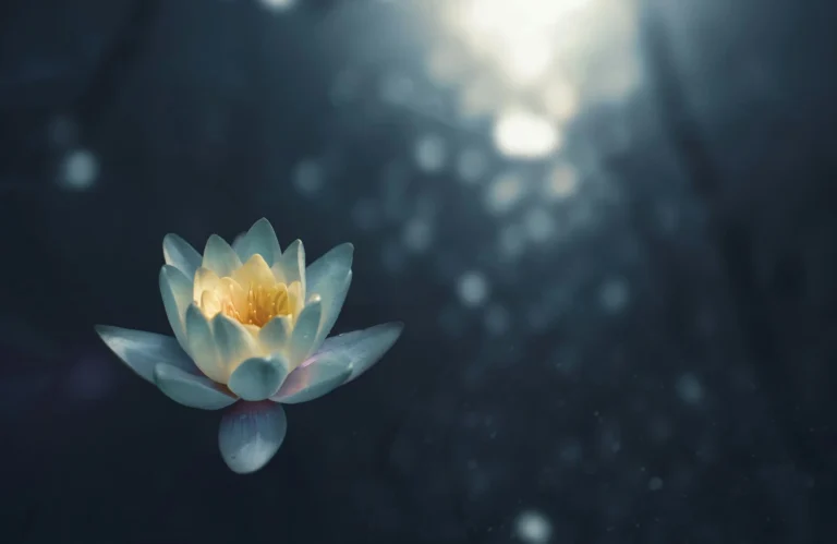 What Is Radical Acceptance? How to Apply the Emotional Practice in Daily Life